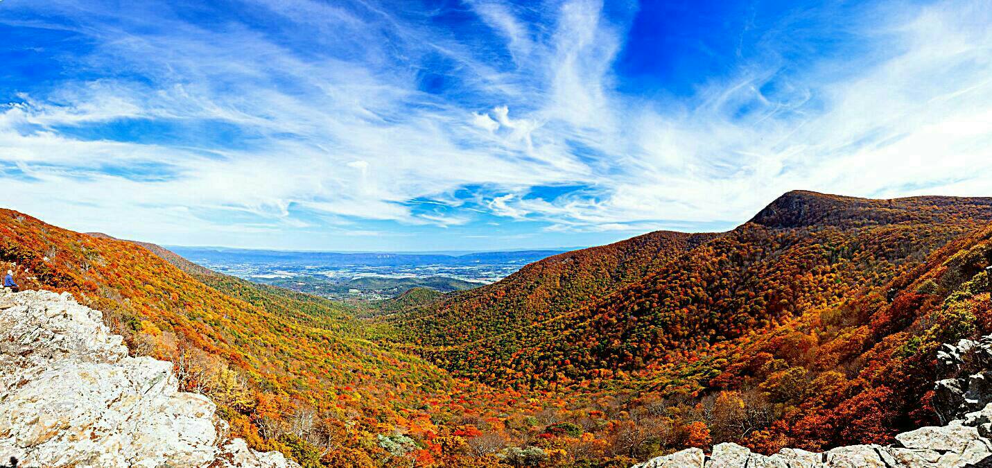 Overlook On Skyline Drive