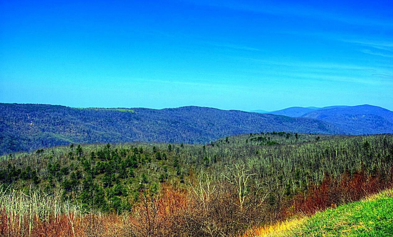 Overlook On Skyline Drive