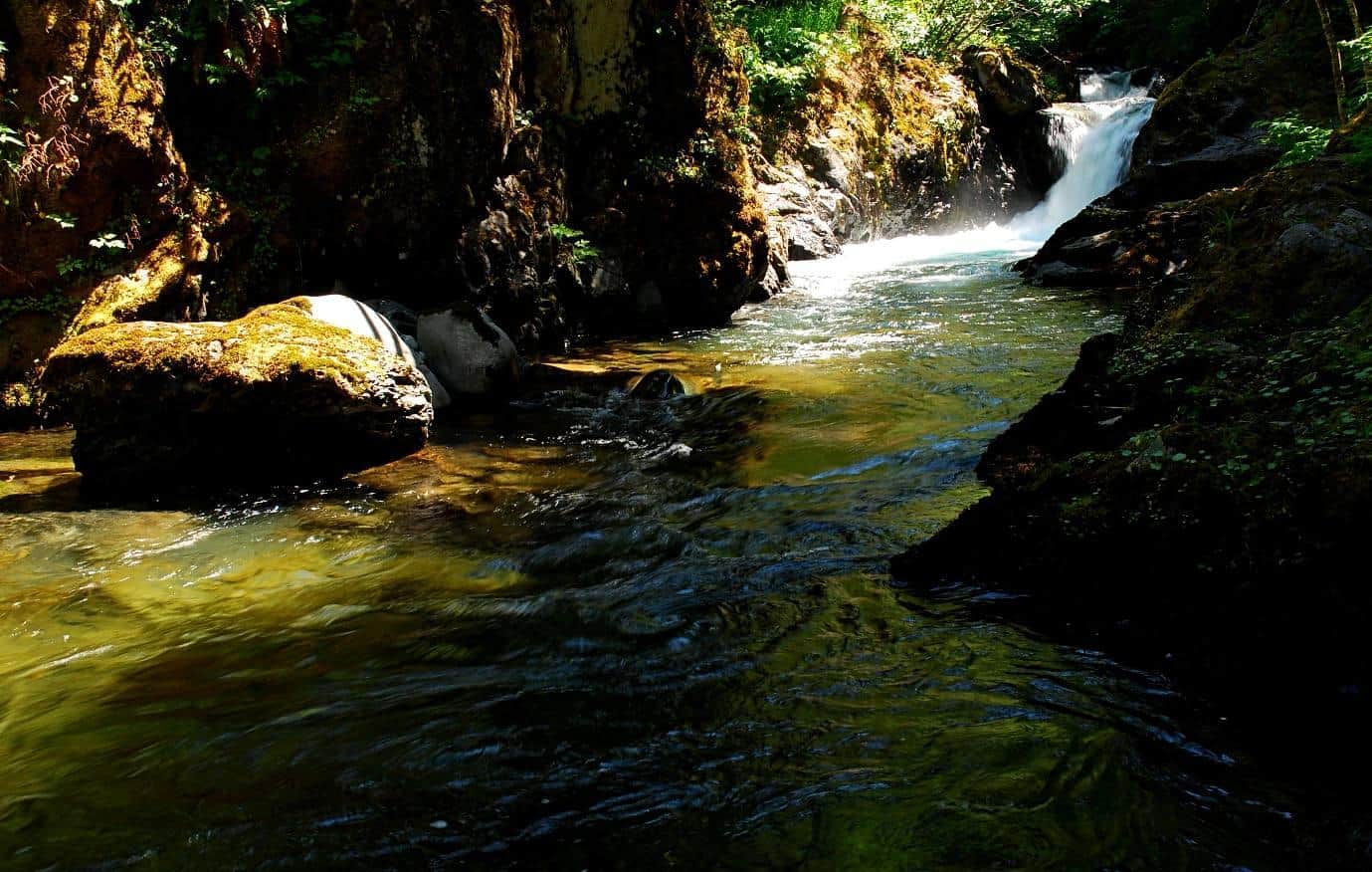 Olympic Natural Hot Springs In Washington