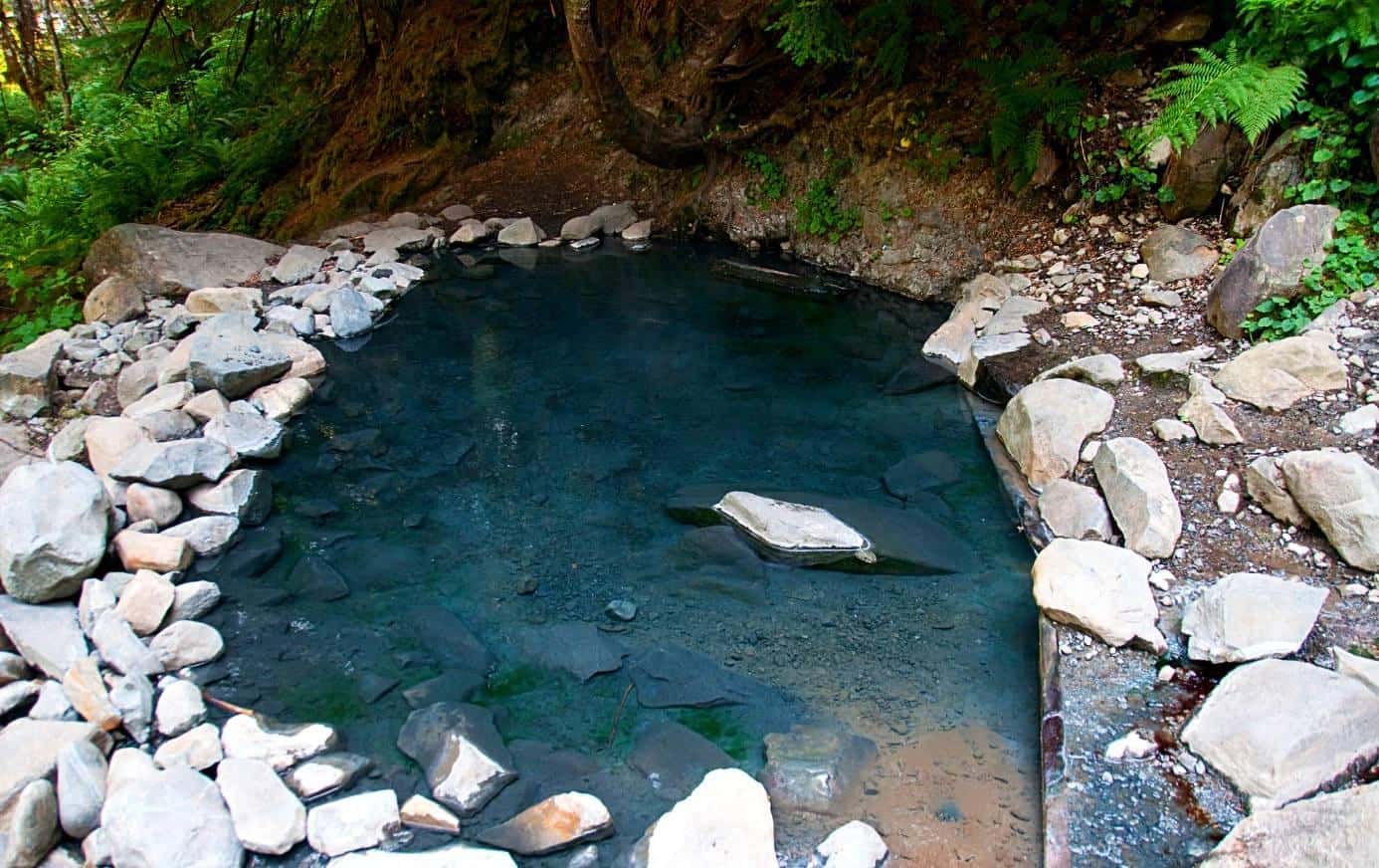 Olympic Natural Hot Springs In Washington