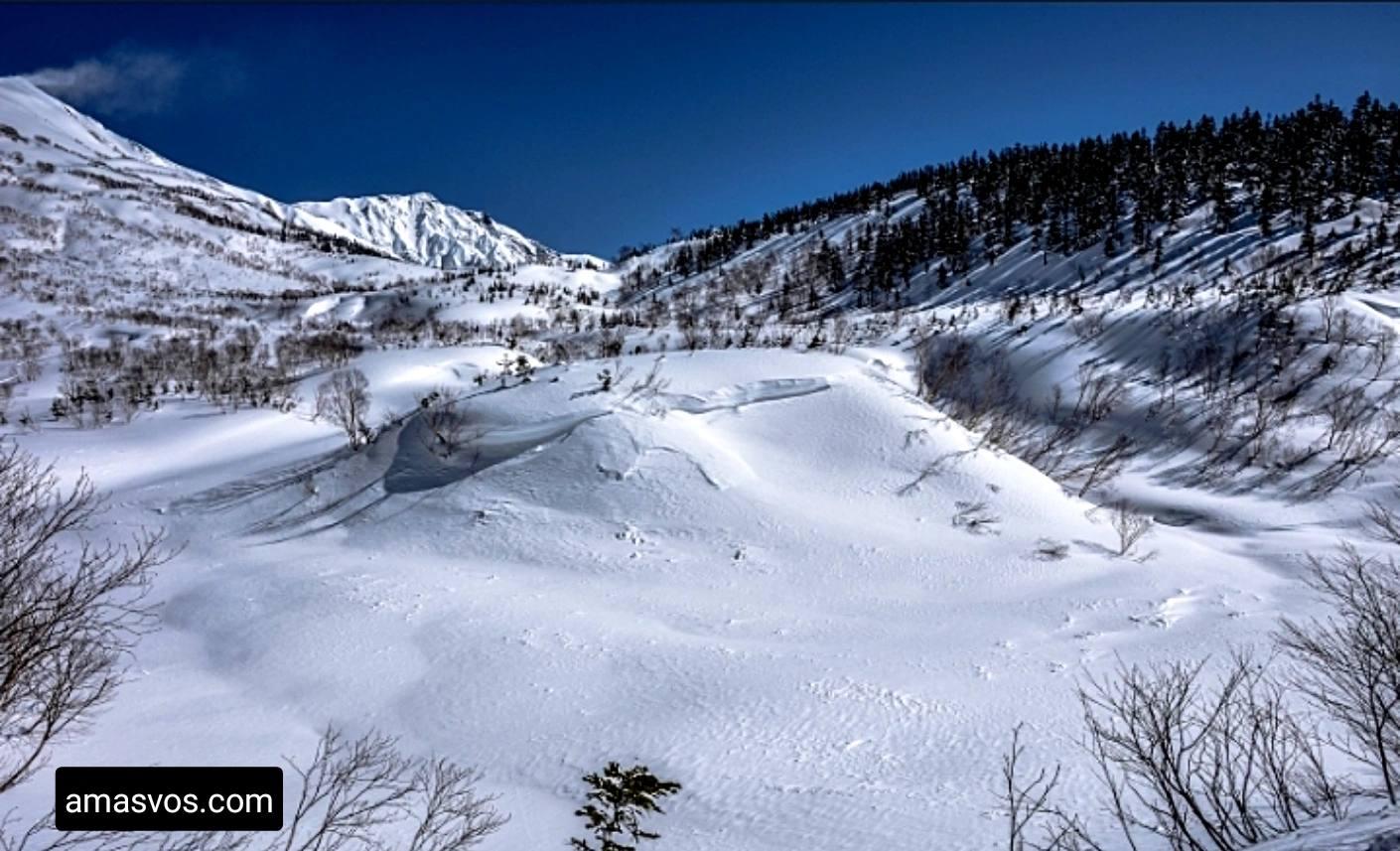 Snow In Japan