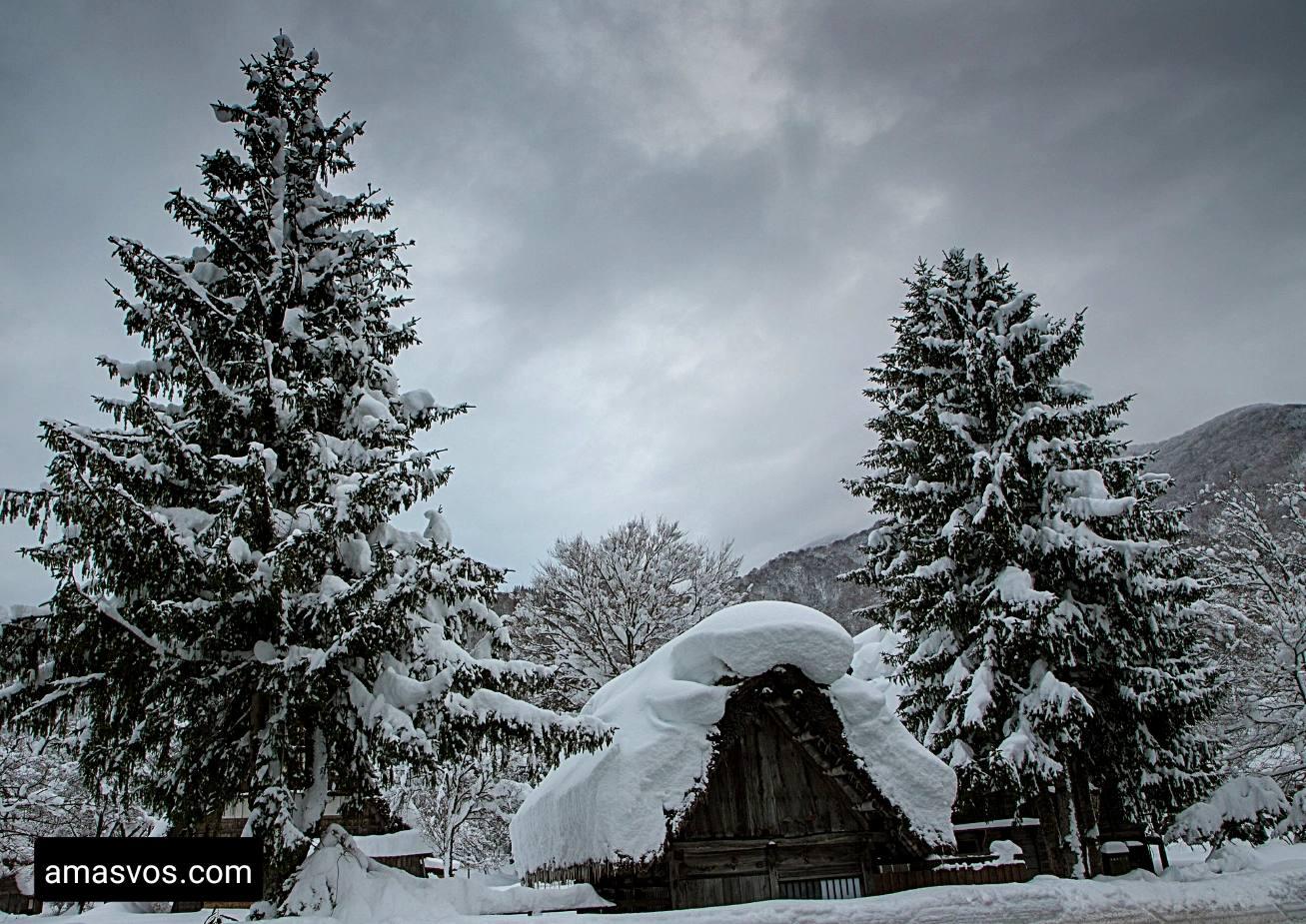 Heavy Snow In Japan