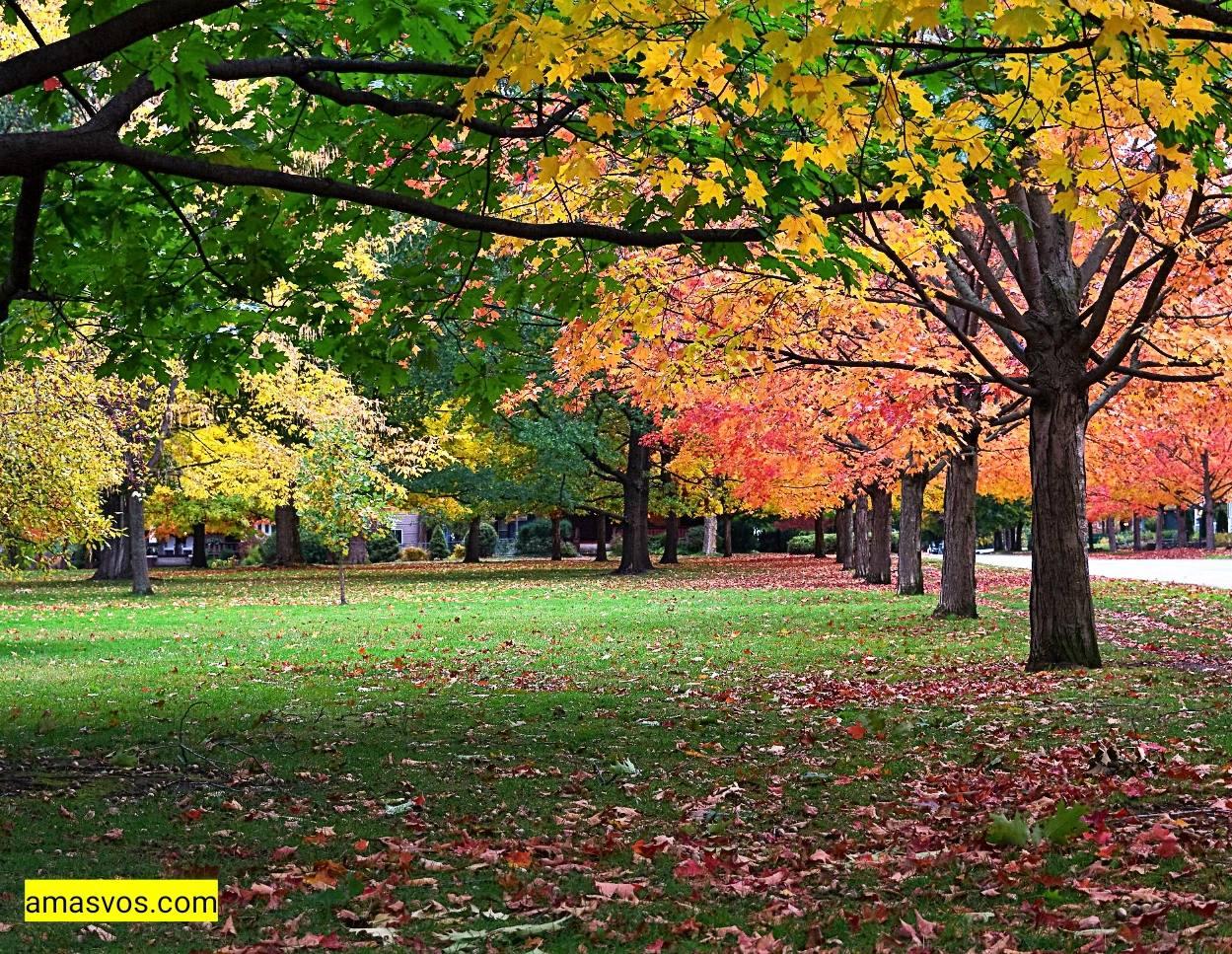 Corbin Park Photo locations In Spokane