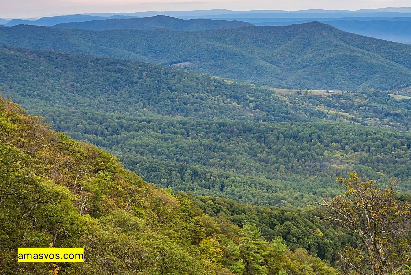 Jewell Hollow Overlooks on skyline drive