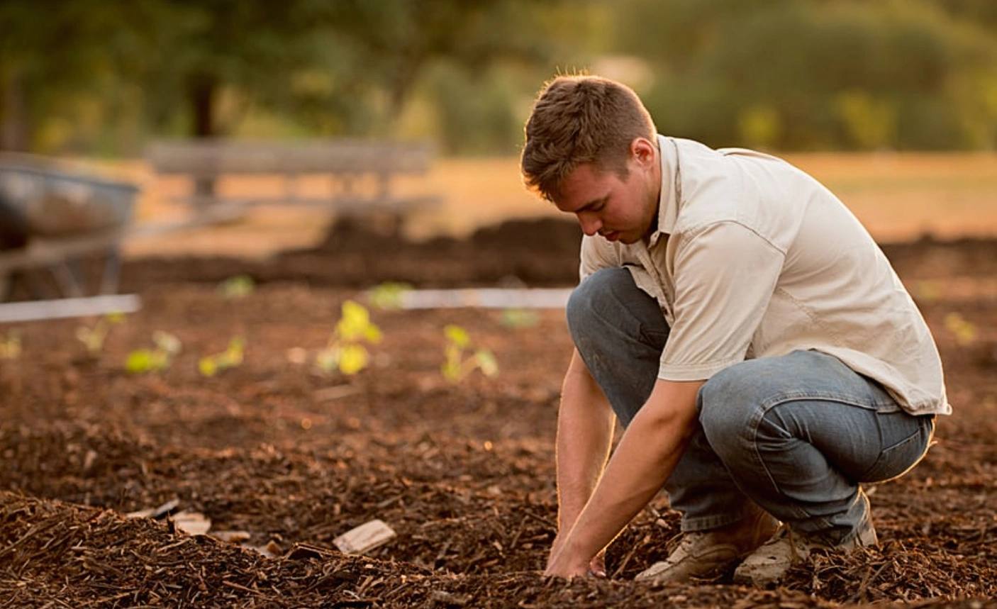 American-Man-Working