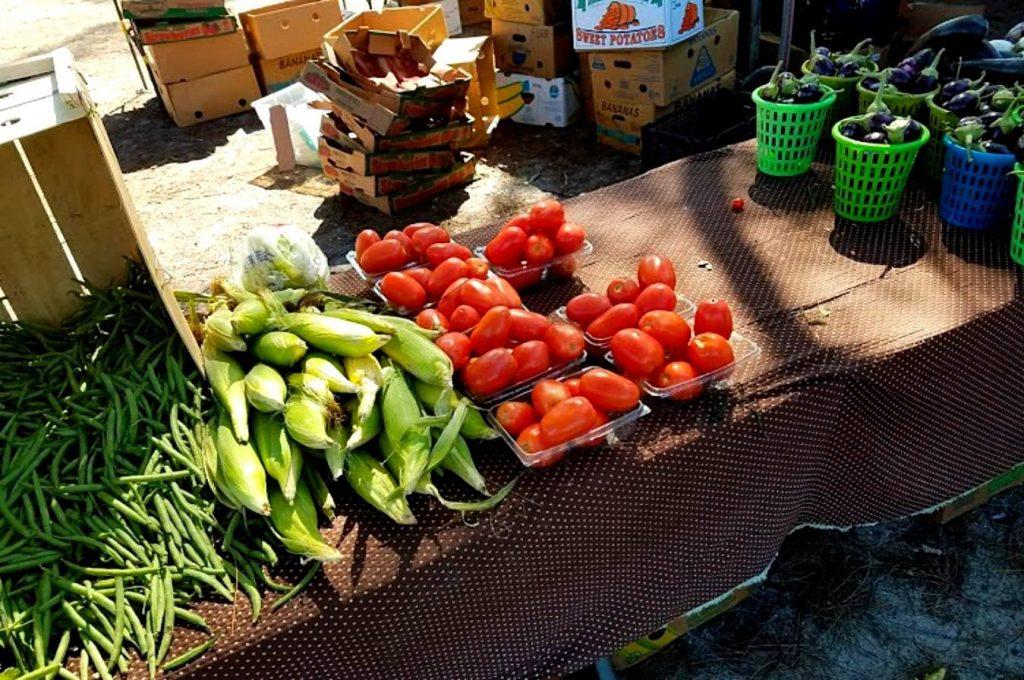 Coquina Beach Market