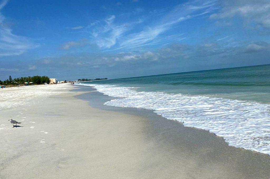 Manatee Public Beach