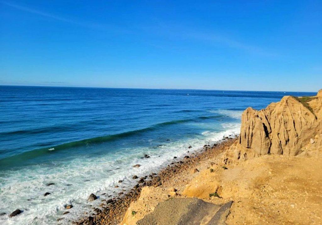 dog friendly beaches long island