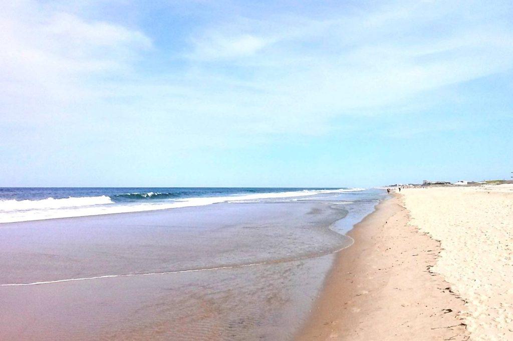 dog friendly beaches long island