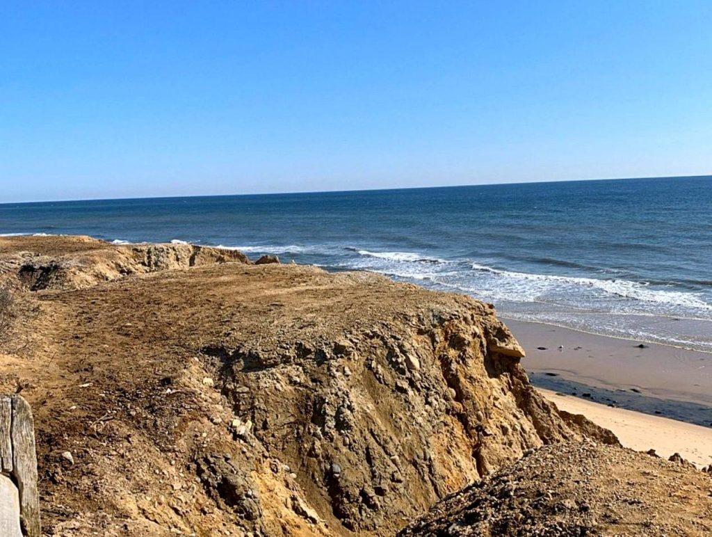 dog friendly beaches long island